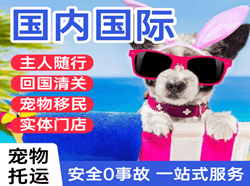 南宁机场货运国际宠物托运 【国